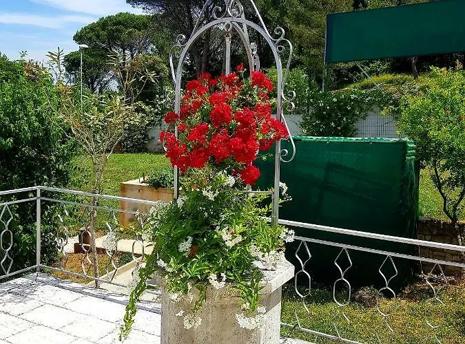 Apartment Lori Poreč