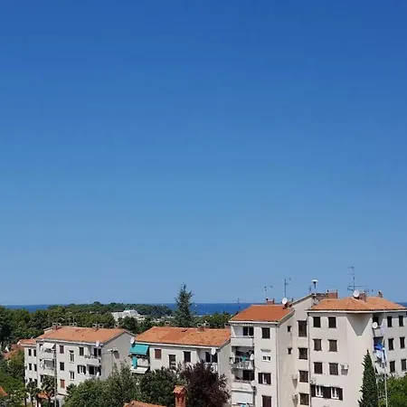 Lori 波雷奇